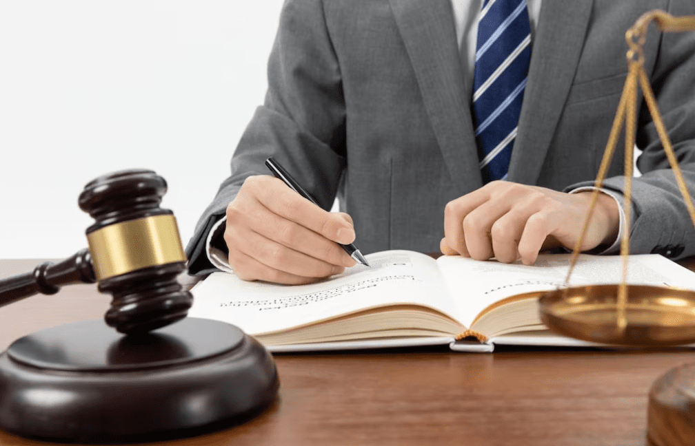 What is a Litigator